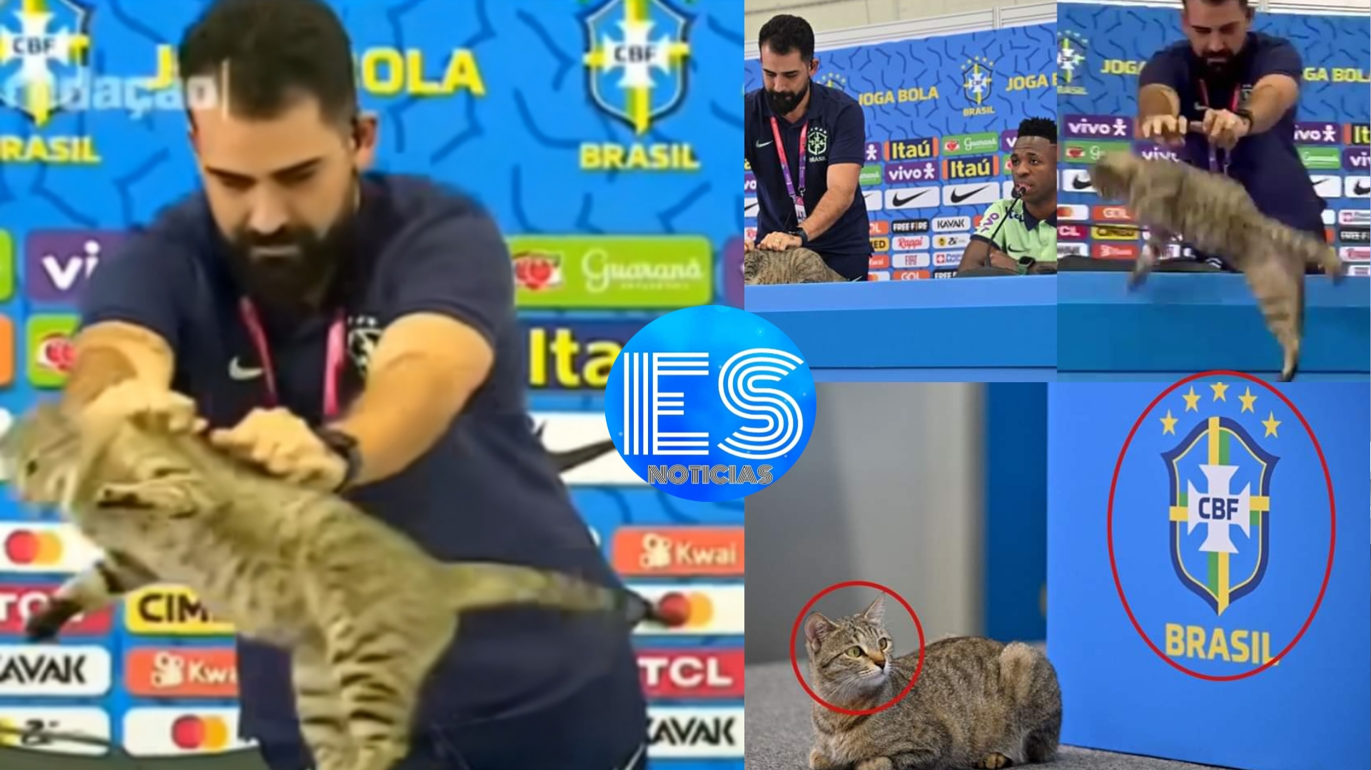 La selección brasileña y la mala suerte de tirar a un gato en el mundial de Rusia.