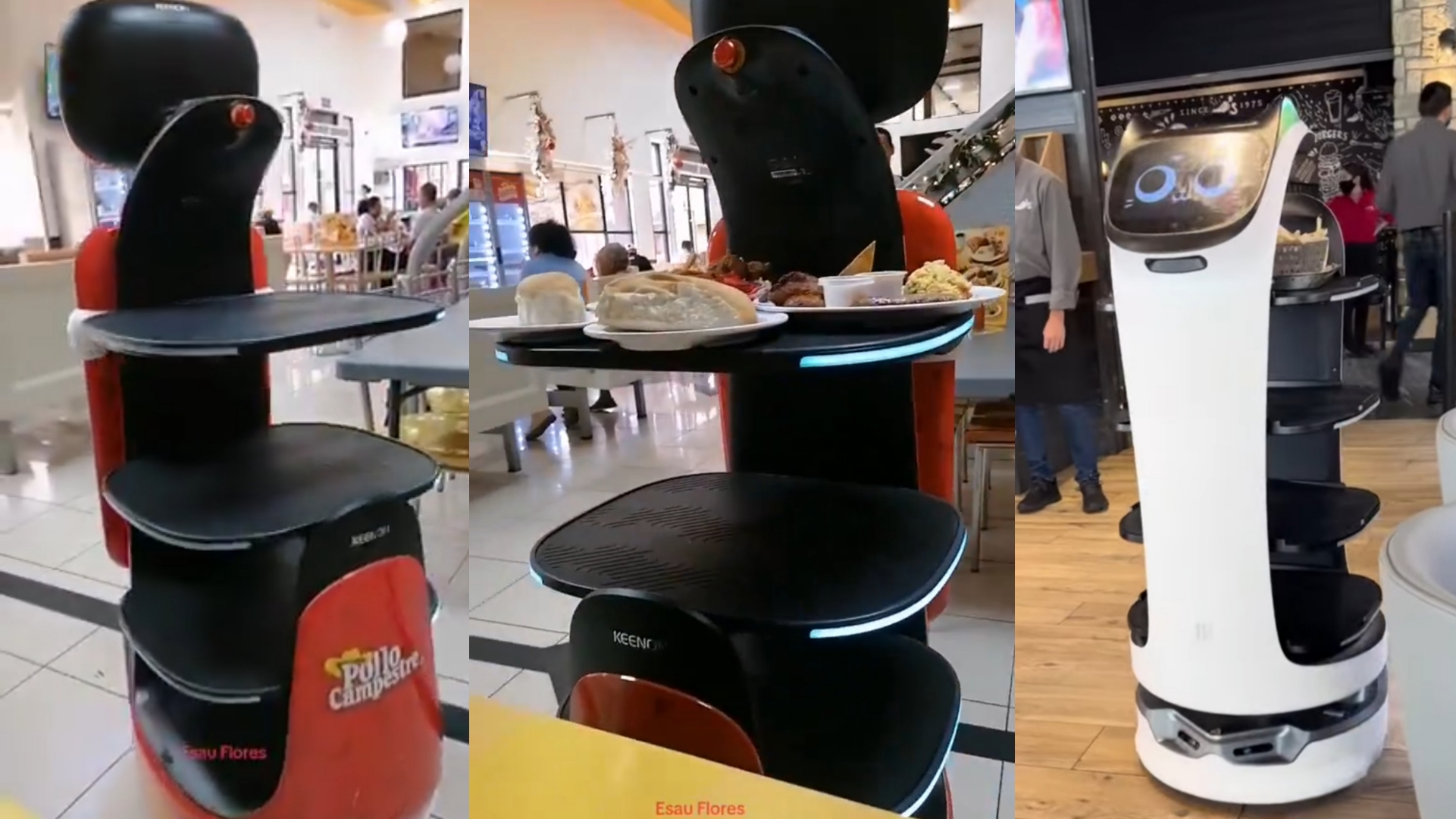 Nuevo mesero robot en el restaurante de pollo campestre de San Miguel.