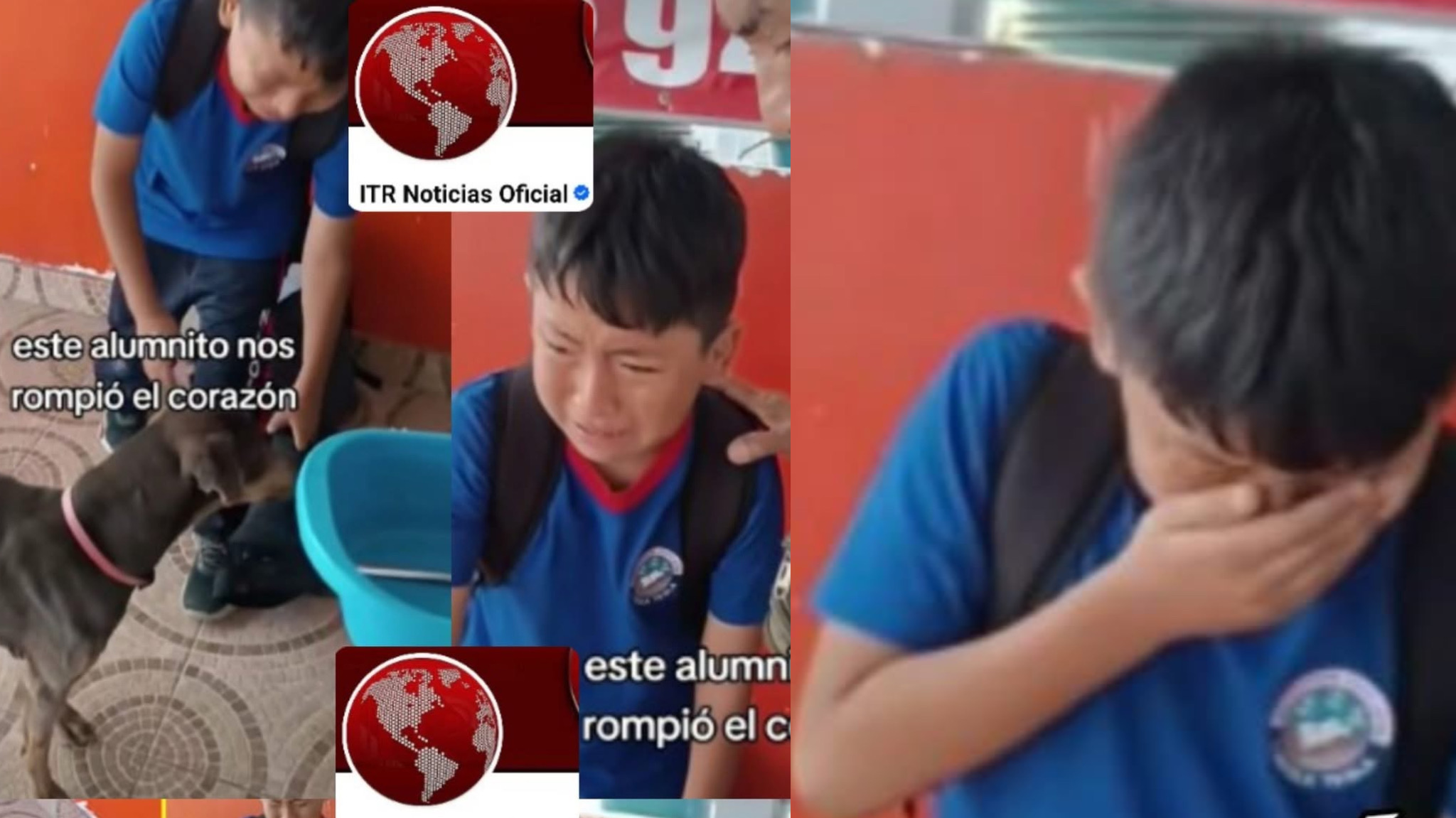 Llevó a su perrita al colegio porque en casa no pueden alimentarla. Lloró mucho al despedirse.